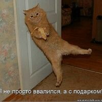 Удалена Удалена