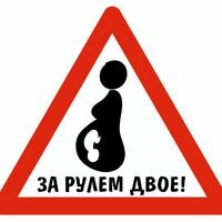 Елизавета Чен