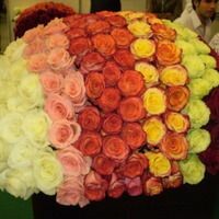 зиннурова марина