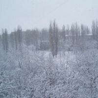Долинская Мария