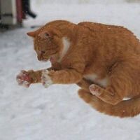Юлия