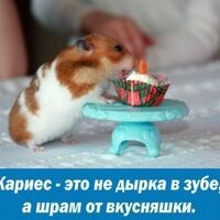Дарья