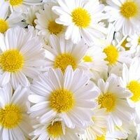 CamillasMama