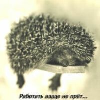 Александра