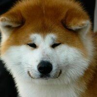 Даша