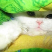 Маринка