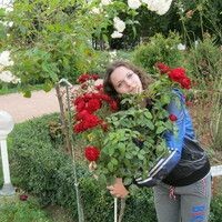 Анна Дранович