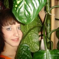 дарья гальцева