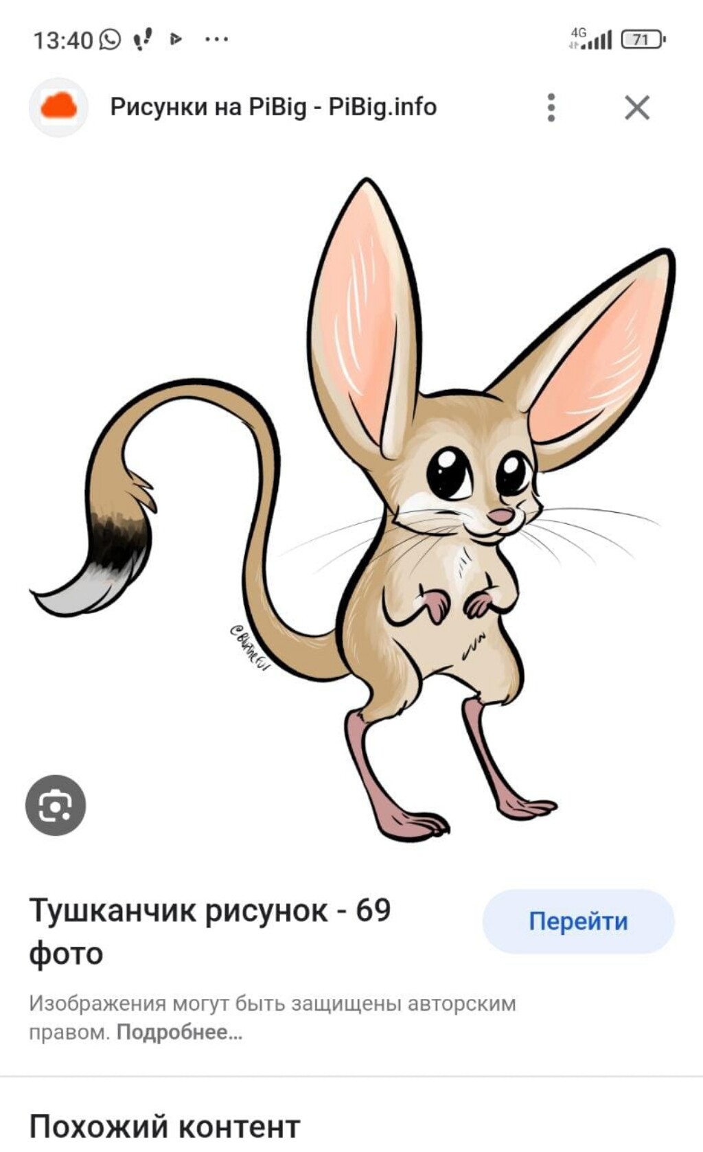 kdomasuk@gmail.com