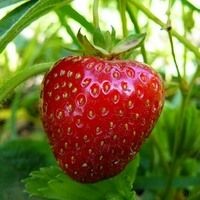 Любовь