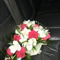 Катерина