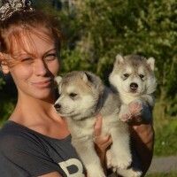 Анна