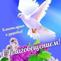 Аня
