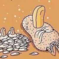 Олюся Ежуся