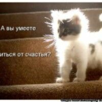 Котя