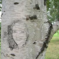 Ельцова Оксана