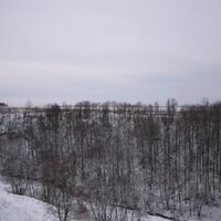 орлова настик