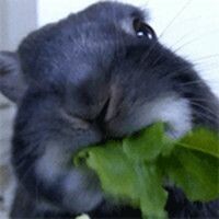 Наталья Калинина