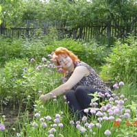 ☼ Елена ☼˜”*°•..•°*”˜