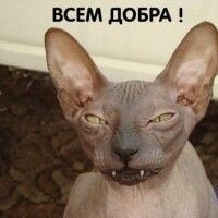 Танка