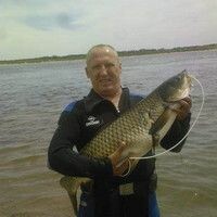 камнев виталий