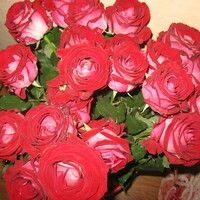 Пешкова Ольга