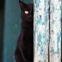 Валерия