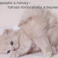 Милана