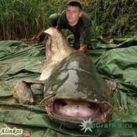 Папирный Александр