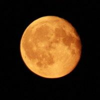 Князева Оксана