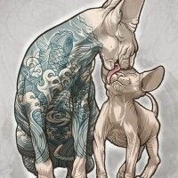 Анастасия Пожелухина