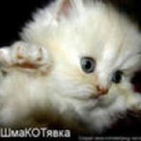 Наталья Клименко