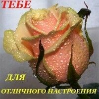 тру-ля-ля