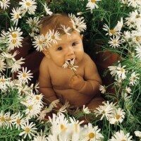 Irisha