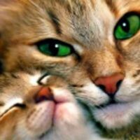 ♥Ольга♥Натальевна♥