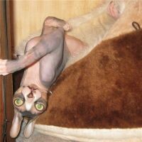 Анaстaсия