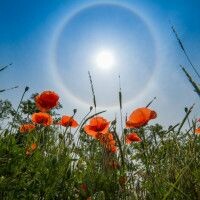 МамаМылаРаму