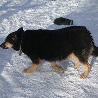 Буянова Яна
