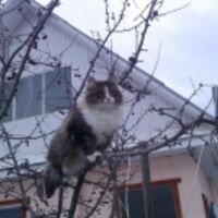khasanov alisher