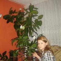 Антич Елена