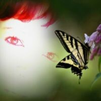 BykReeV@ Di@nn@