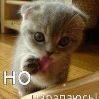 Полина