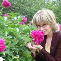 Елена