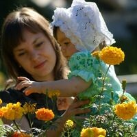 Елена Карцева