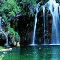 Ардиванов Ильдар