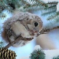 Анастасия