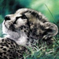 Каринэ