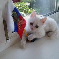 Юлия Афанасьева