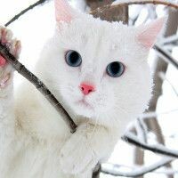 Любовь