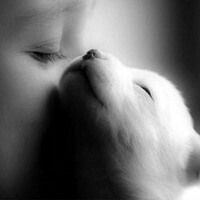 ✿Елена✿
